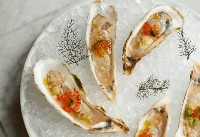 Fresh oysters on ice — Charleston’s fall seafood season